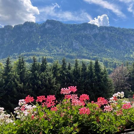 Ferienwohnung Mit Seeblick, Unterach Am Attersse Unterach am Attersee Luaran gambar